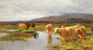 Moorlands og Mist
